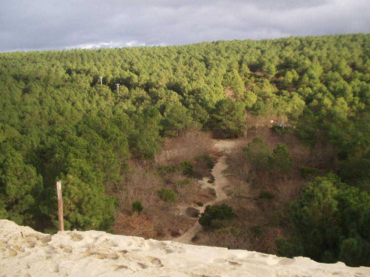Les Amandiers Biscarrosse Extérieur photo